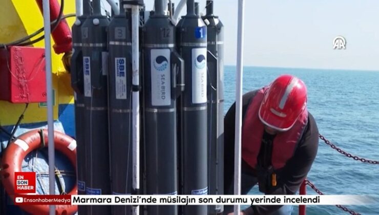 Marmara Denizi’nde müsilajın son durumu yerinde incelendi