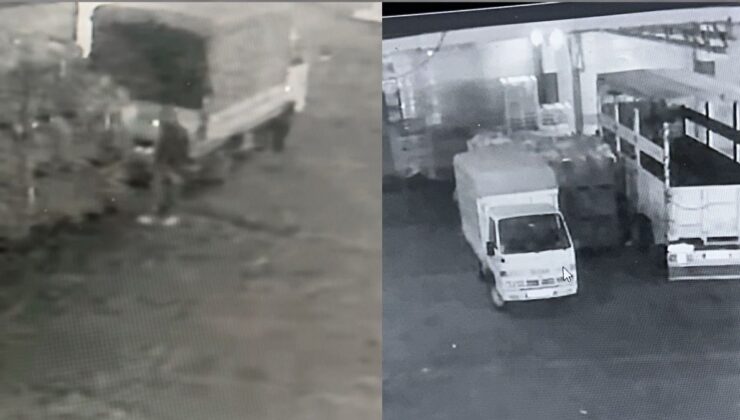 Mersin’de halden 700 kilo karpuz çalındı