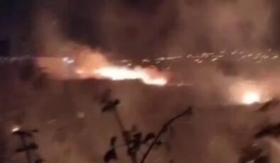 Mersin’de sazlık alanda yangın