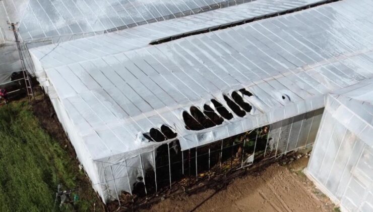 Mersin’de sera yangını