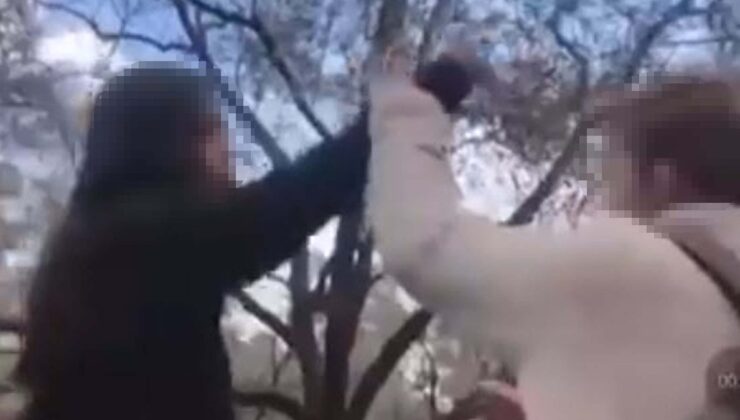 Muğla’da 13 yaşındaki arkadaşını darbettiği anları paylaşan gence gözaltı