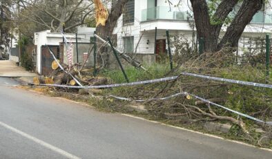 Muğla’da tekneler suya gömüldü, ağaçlar devrildi