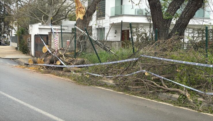 Muğla’da tekneler suya gömüldü, ağaçlar devrildi