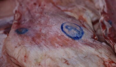 Mühürsüz satılan etlere dikkat: “Ne eti olduğu belli değil”