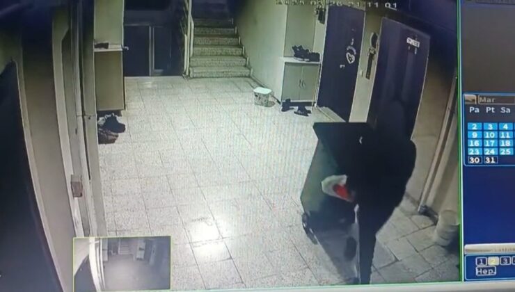 Nevşehir’de çöp yerine ayakkabıları topladı