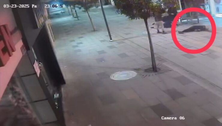 Ordu’da Köpeklerden kaçarken kaza yaptı