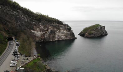 Ordu’nun kuş cenneti ziyaretçilerini ağırlıyor