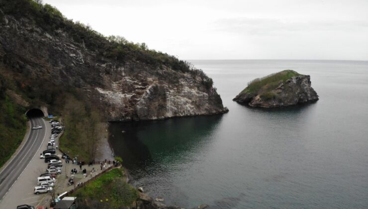 Ordu’nun kuş cenneti ziyaretçilerini ağırlıyor