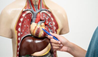 Orta yaş grubu için ciddi risk: Aort yırtılması kalp krizi ve felçle sonuçlanabilir