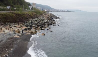 Rize’de denize 2 ton levrek dağıldığını duyanlar sahile koştu