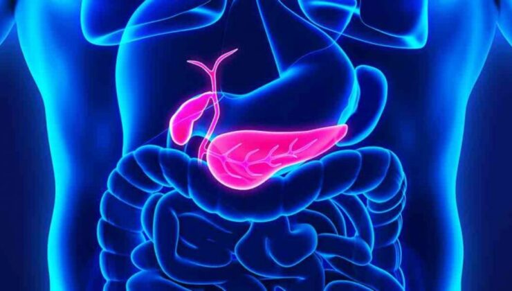 Safra (Sıvısı) nedir, ne işe yarar? İşte sırrı…