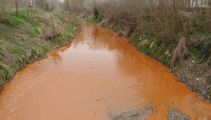 Sakarya’da kirlilik nedeniyle derenin rengi değişti