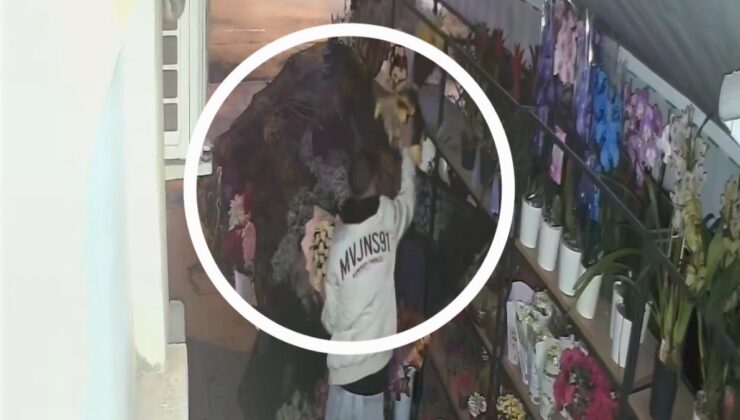 Samsun’da çiçekçiden 5 bin liralık çiçek çaldı