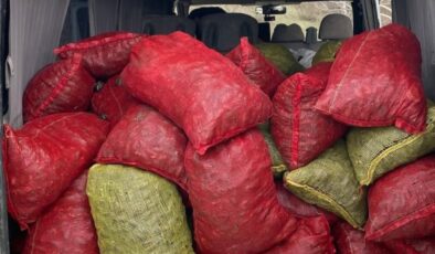 Samsun’da kaçak midye avcılığı yapan 4 kişiye 151 bin lira ceza kesildi