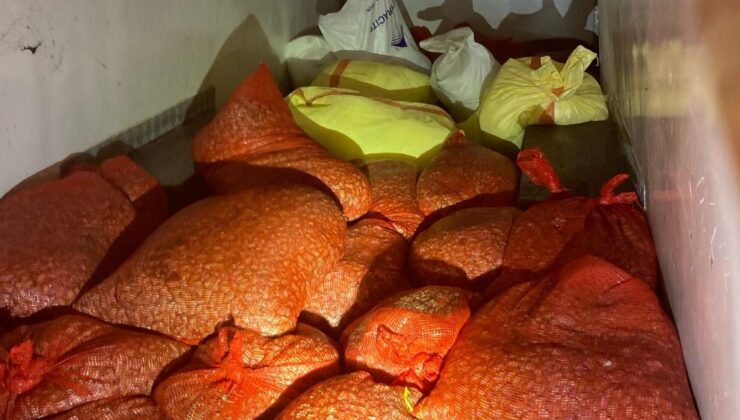 Samsun’da kaçak midye avcılığına 37 bin lira ceza