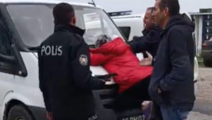 Samsun’da sokak köpeklerini toplayan ekiplere tepki