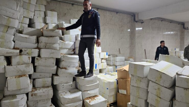 Şanlıurfa’da 11 ton bozulmuş ceviz içi ele geçirildi