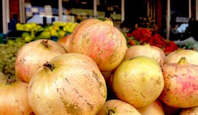 Şanlıurfa’da AB tescilli Suruç narında budama zamanı