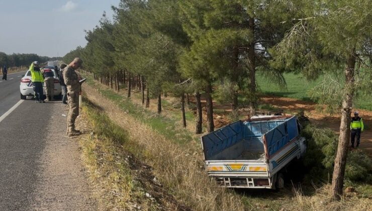 Şanlıurfa’da kamyonet ağaca çarptı