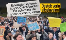 Şanlıurfa’da üniversite öğrencilerinden başıboş köpek eylemi
