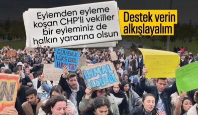 Şanlıurfa’da üniversite öğrencilerinden başıboş köpek eylemi