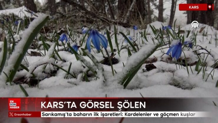 Sarıkamış’ta baharın ilk işaretleri: Kardelenler ve göçmen kuşlar