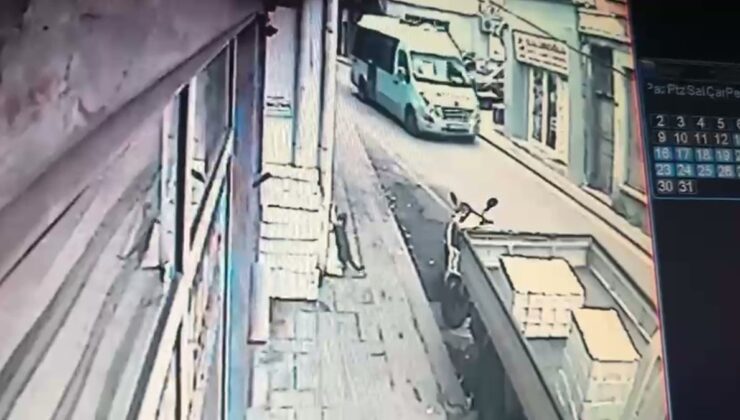 Sinıp’ta kedi, tezgahtan balık alırken görüntülendi