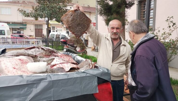 Sinop’ta kaçak avlanan 200 kalkan balığı halka dağıtıldı