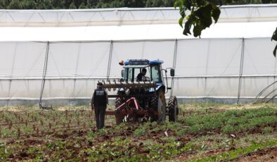 Tarımda 81 ile 50 milyon euroluk hibe programı