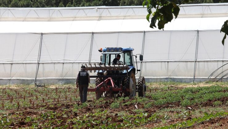 Tarımda 81 ile 50 milyon euroluk hibe programı