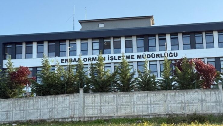 Tokat’ta ihaleye fesat karıştırma soruşturması: 7 gözaltı