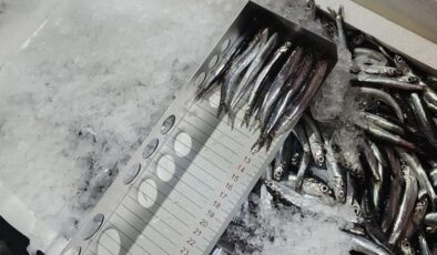 Trabzon’da av sezonunda yasaları çiğneyenlere rekor cezalar kesildi