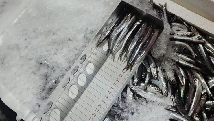 Trabzon’da av sezonunda yasaları çiğneyenlere rekor cezalar kesildi