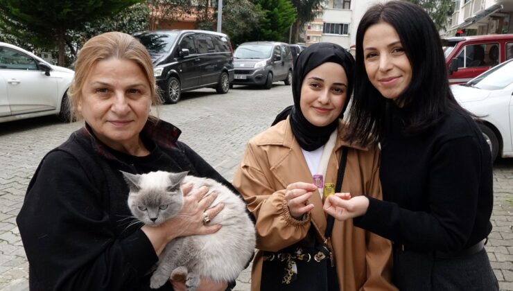 Trabzon’da ‘Badem’ adlı kayıp kedisini bulana altın verdi