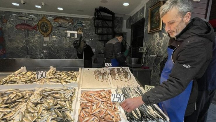 Trabzon’da mezgit ve istavrit tezgahtaki yerini aldı