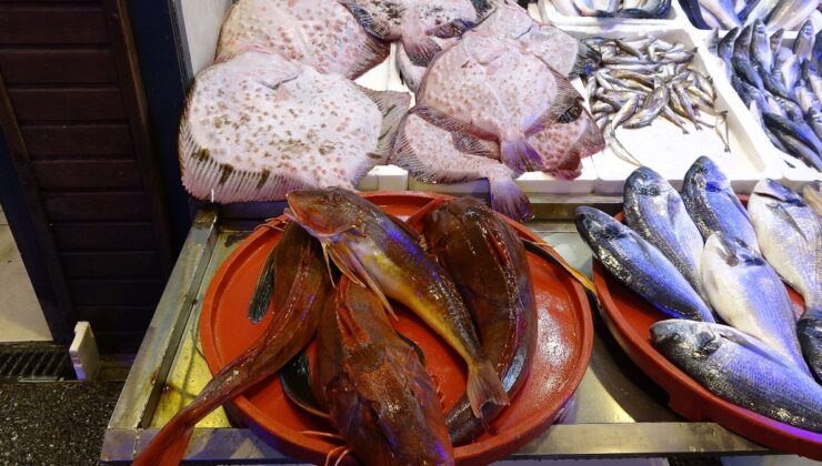 Trabzon’da son yılların en bereketli balık sezonu