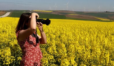 Trakya’da tarlalar fotoğraf stüdyosu gibi