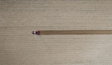 TÜİK, tarım üretici enflasyonunu açıkladı