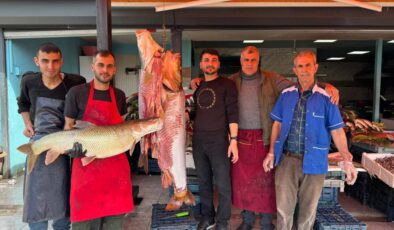 Tunceli’de biri 100 kiloluk 3 turna balığı yakaladı