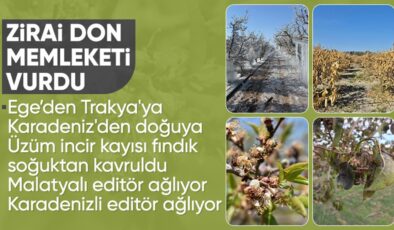 Türkiye, tarihin en büyük zirai don süreçlerinden birinden geçiyor