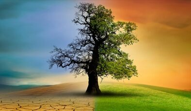 Türkiye’nin ilk iklim kanunu teklifi: 14 soruda merak edilenler