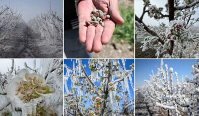 Üreticilerin kabusu zirai don, sigortanın önemini gündeme getirdi