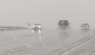 Van’da kar yağışı ve sis oluyor
