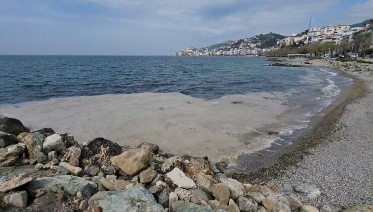 Yalova’da kıyılarda müsilaj görüldü