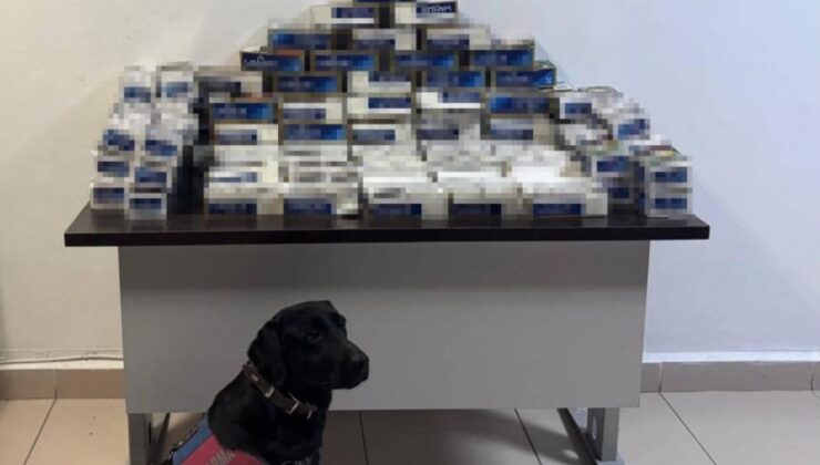 Yozgat’ta 20 bin makaron ele geçirildi