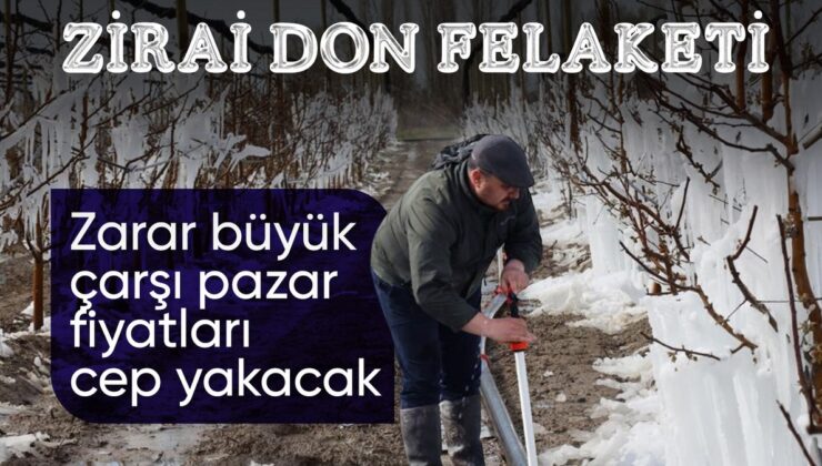Zirai don felaketinin boyutları büyüdü! Fiyatlara yansıması bekleniyor