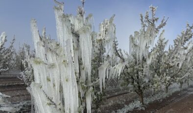 Zirai dondan korunmanın yolları
