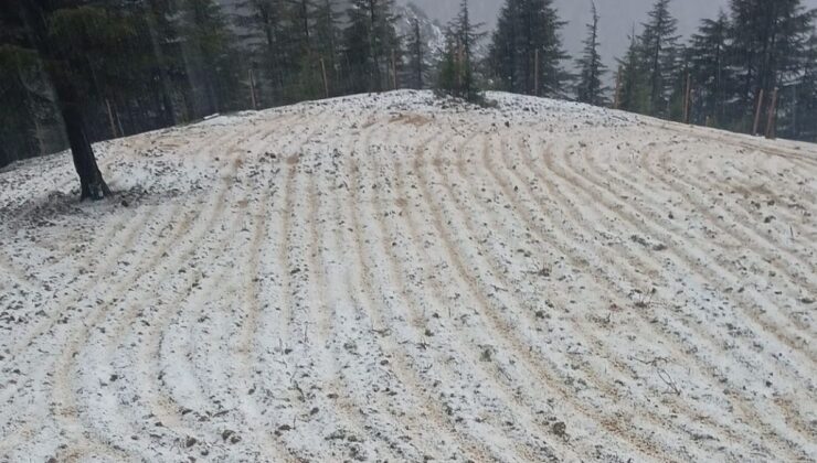 Adana’da dolu yağışı: Tarım yerleri ziyan gördü