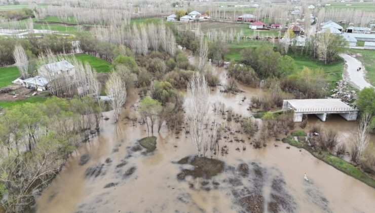 Ağrı’da dere taştı, evler su altında kaldı