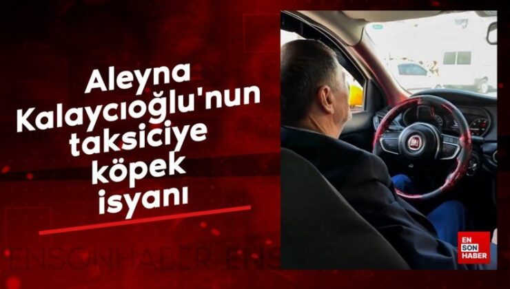 Aleyna Kalaycıoğlu’nun taksiciye köpek isyanı